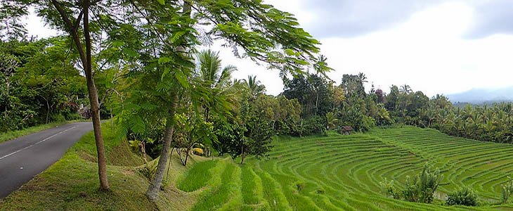 Antosari